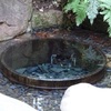 明治神宮 「清正の井戸」