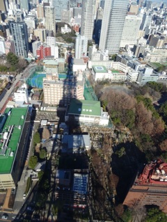 東京タワー 影