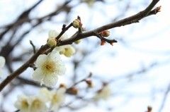 小春日和・・・