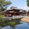 修学旅行以来の宇治平等院鳳凰堂です。