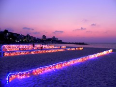 14.12.30　白浜1