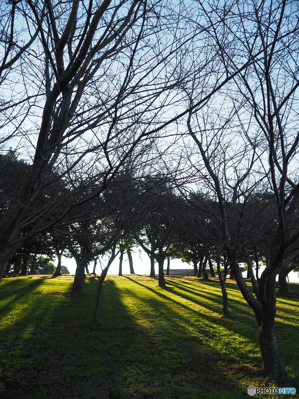 吉野公園　01