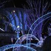 _DSC8736
