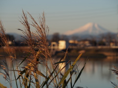 故郷で見た富士山