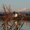 故郷で見た富士山