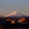冬がやってきた