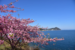 四浦半島の春便り