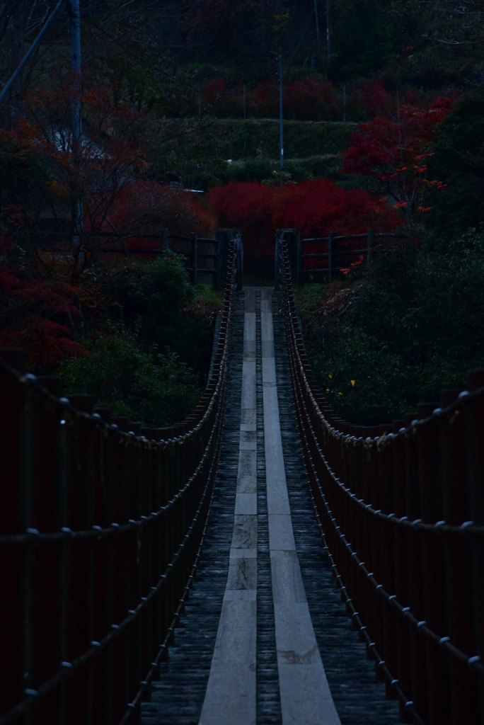 樅木（もみき）吊橋③