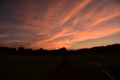 里山の夕暮れ