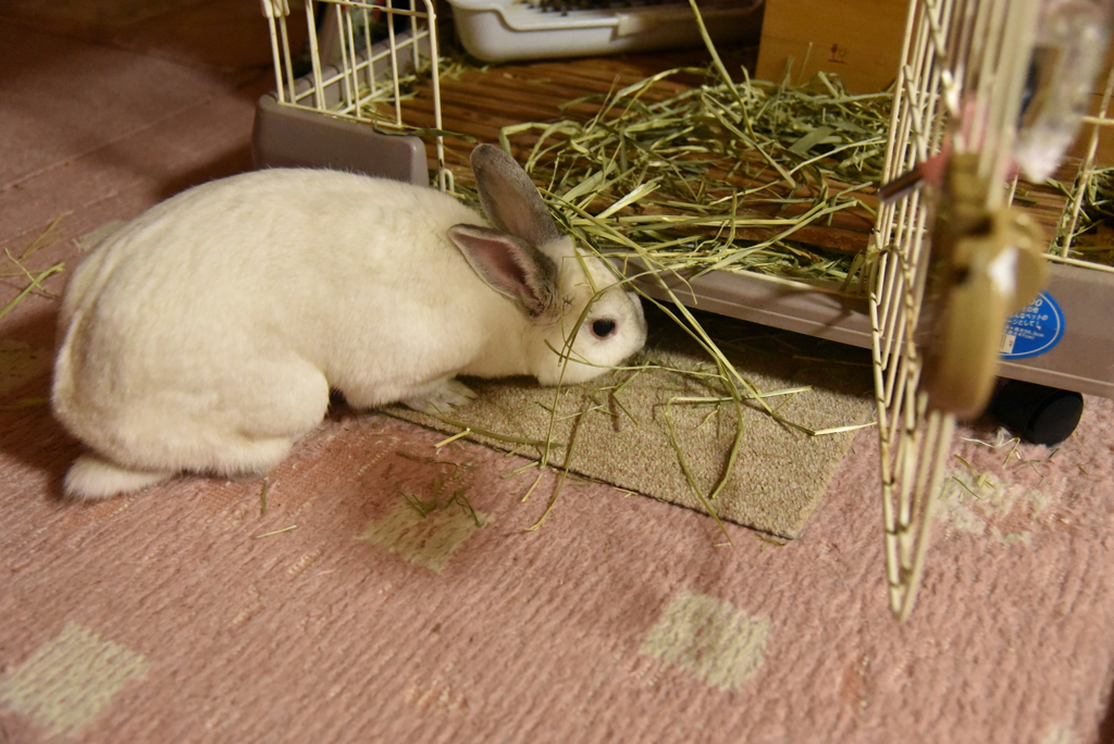 そこ、食べにくくない？