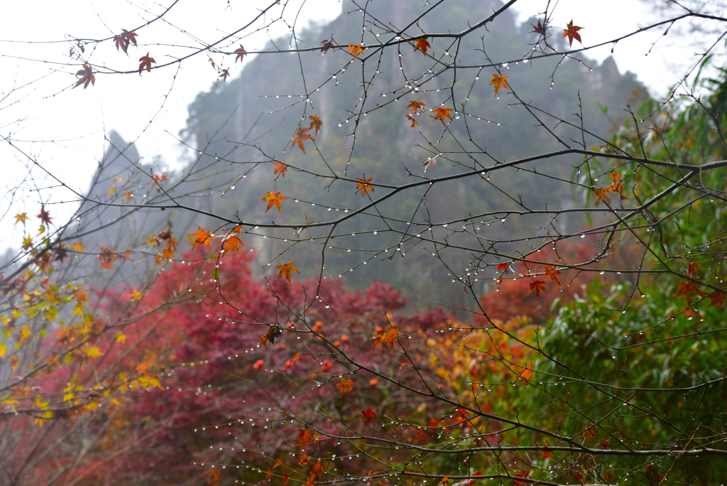 耶馬渓紅葉②