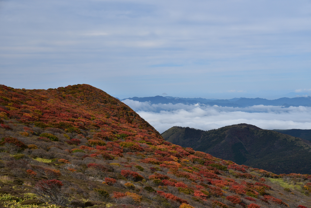 紅葉と雲海を望んで