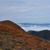 紅葉と雲海を望んで