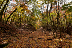 紅葉の登山道Ⅱ