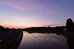 朝焼けを写して