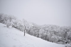 鶴見岳の樹氷⑥