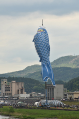 でかっ
