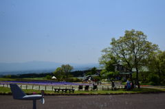 くじゅう花公園①