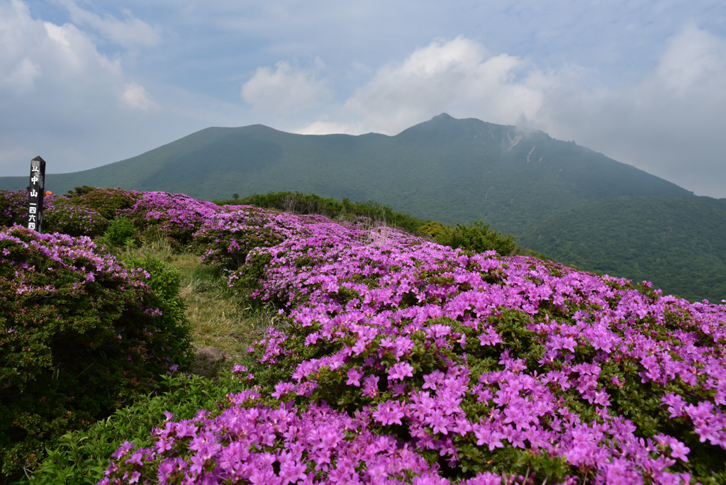 大船山と平治岳を望んで