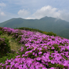 大船山と平治岳を望んで