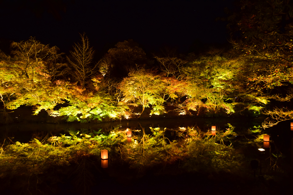 御船山ライトアップ③