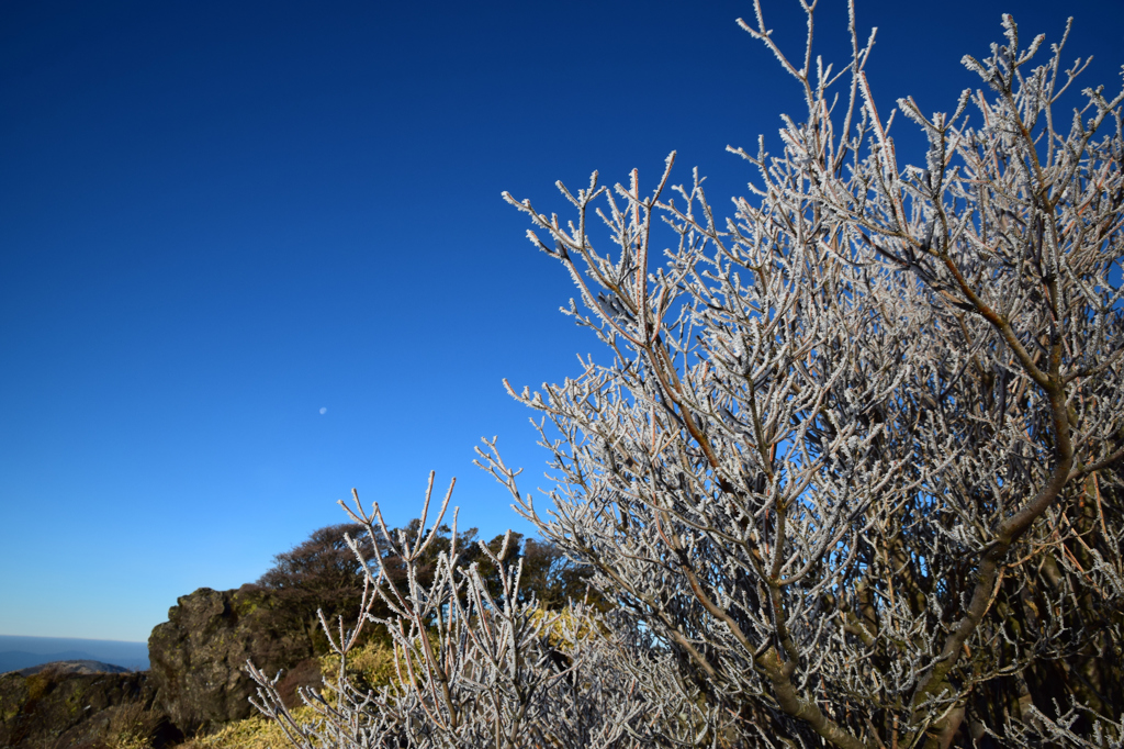 沓掛山樹氷②