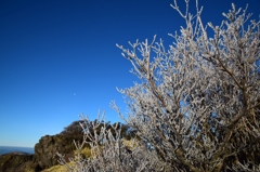 沓掛山樹氷②