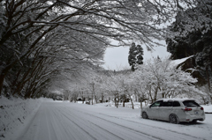雪の一目八景