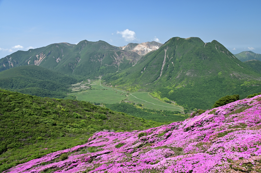 くじゅう連山を望んで