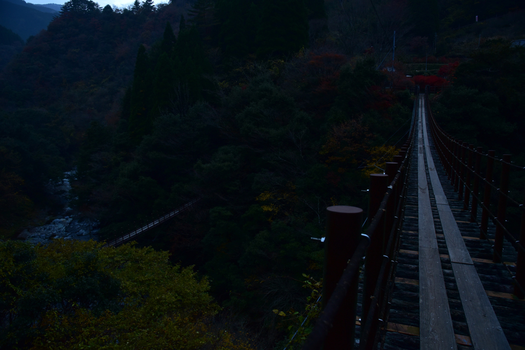 樅木（もみき）吊橋②