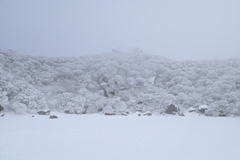 くじゅう連山～白い世界に佇んで～