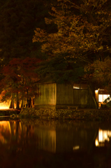 夜の金鱗湖②
