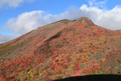 くじゅう連山の紅葉