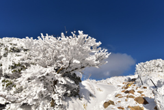 雪のくじゅう連山②