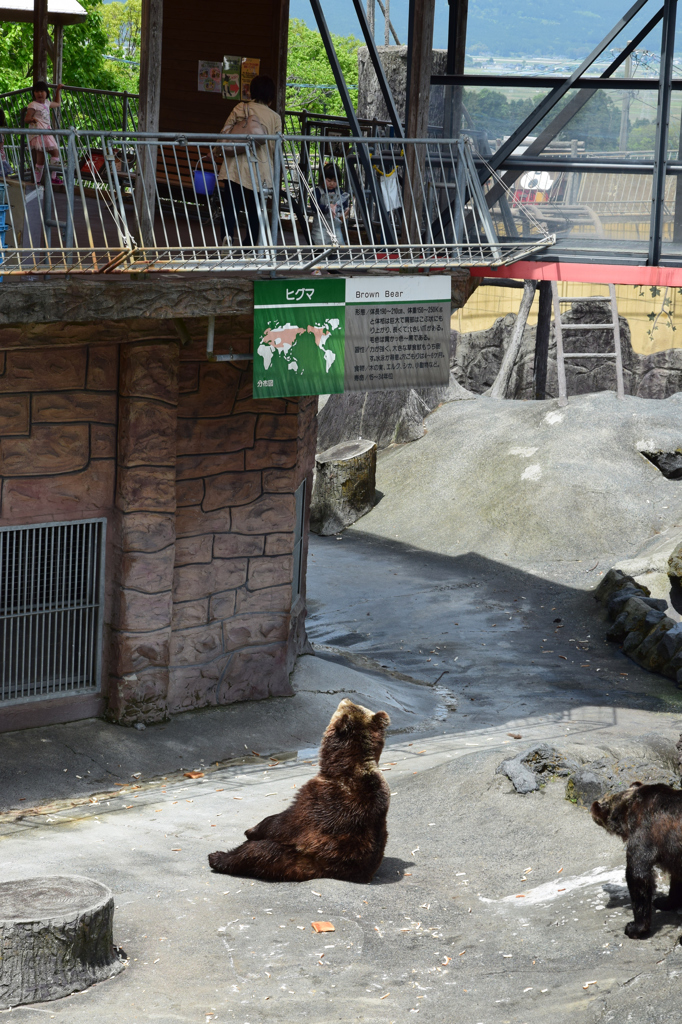 たまにはお肉ください