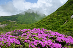 平治岳を望んで