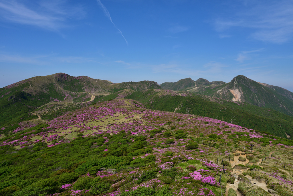 くじゅう連山を望んで