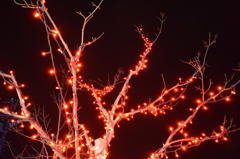 阿蘇駅のイルミネーション