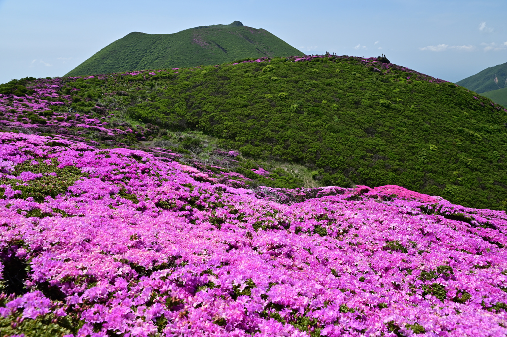 大船山を望んで