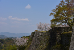 天空に向かって