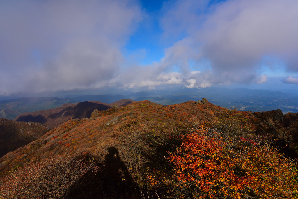 大船山の紅葉③