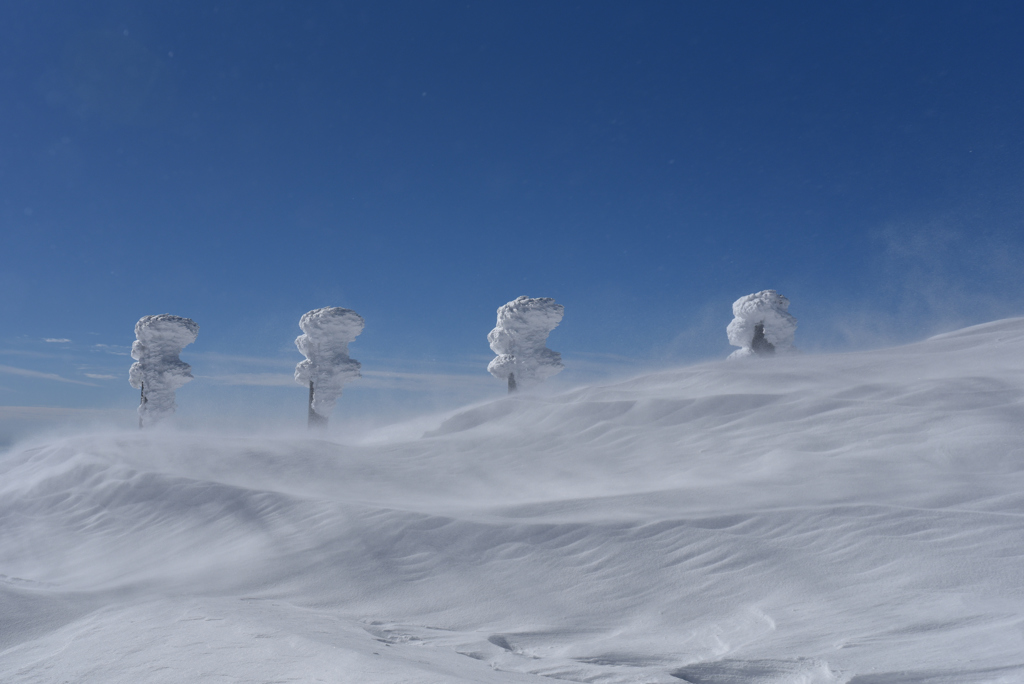 天空の雪の舞い