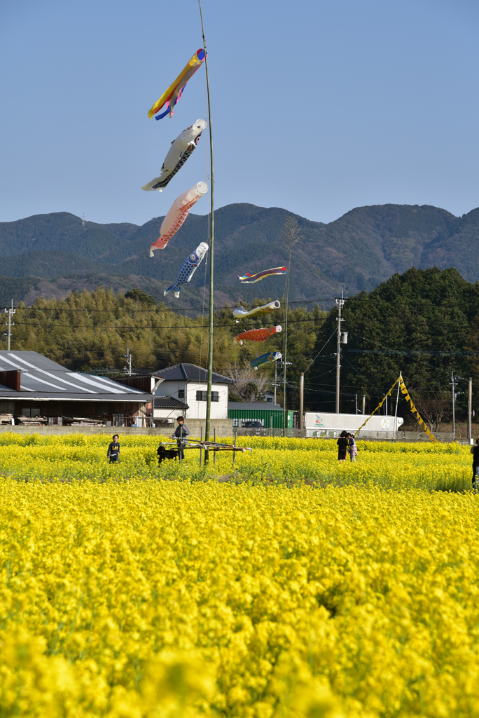 穏やかな春の日Ⅱ