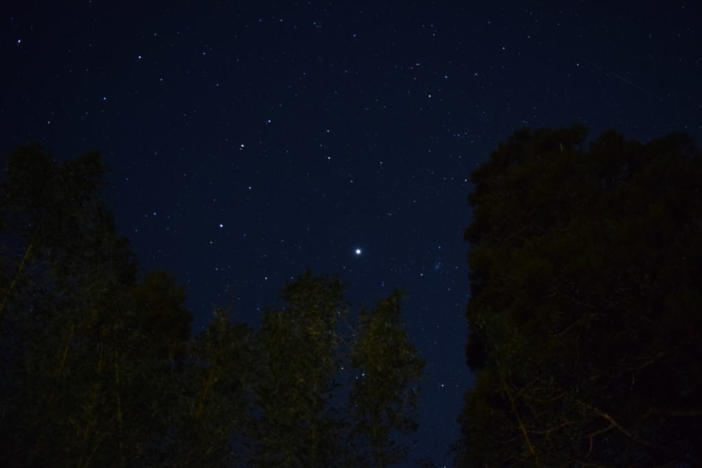 金鱗湖の星空②