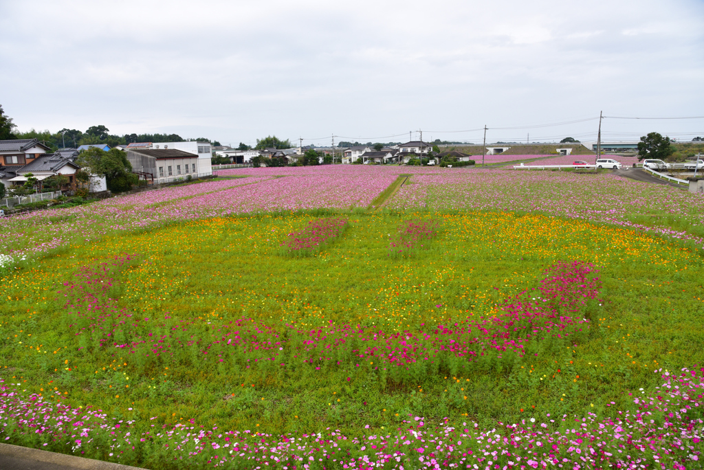 ニコニコ