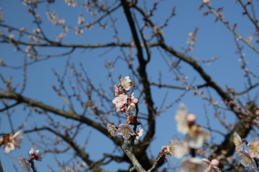 ぶんぶんぶ～ん　その②