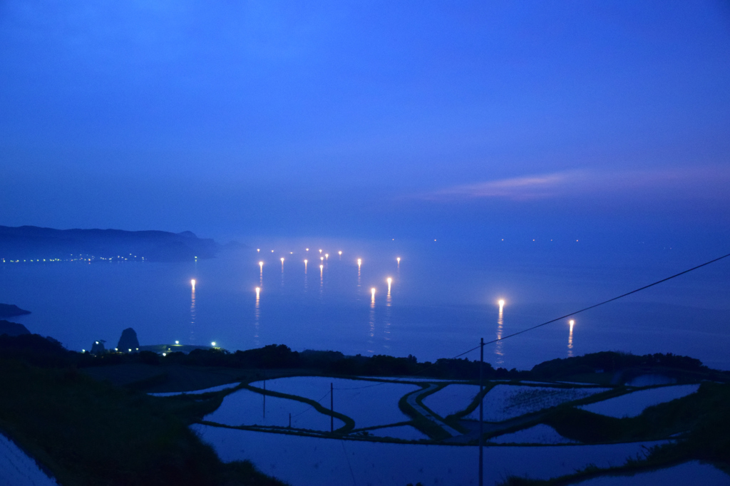 東後畑棚田の漁り火