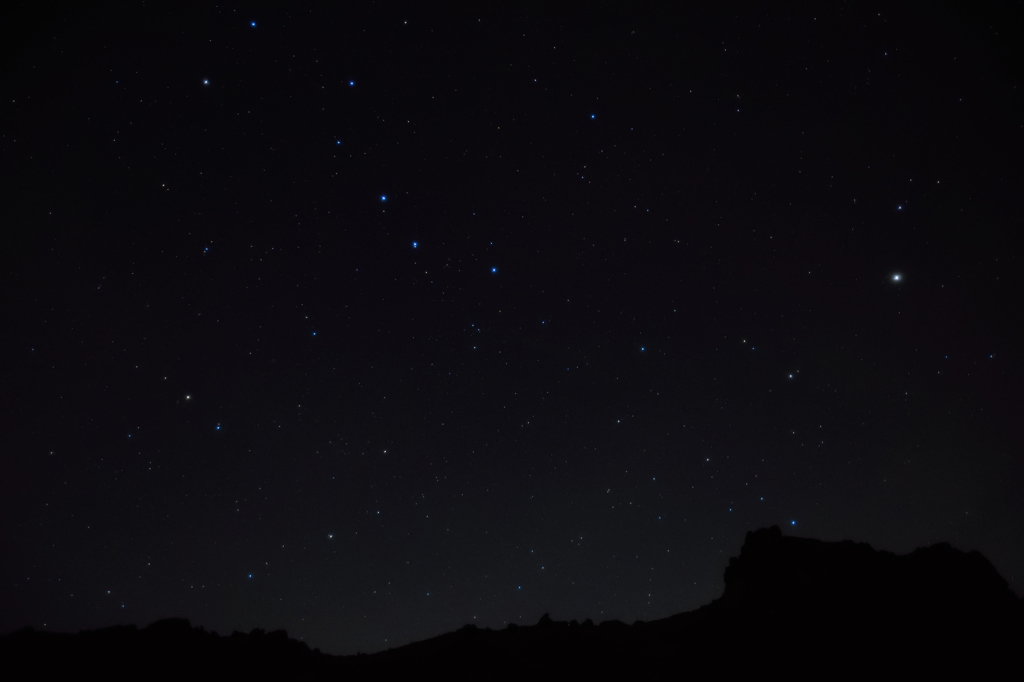 星生崎の春の大曲線