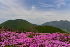 花と緑に囲まれて