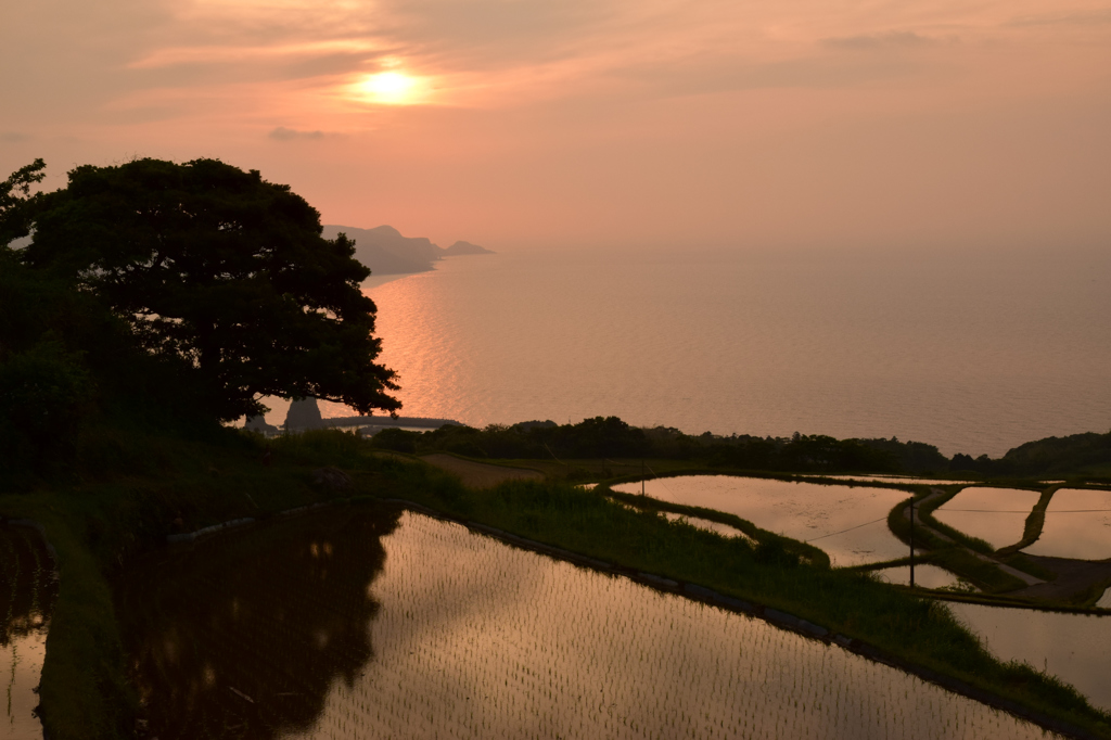 東後畑棚田夕日